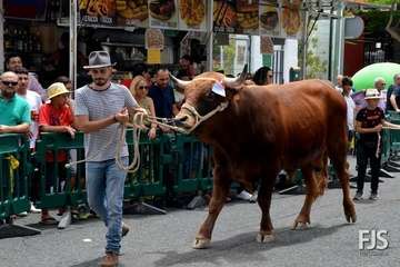 Telde, en la procesión capitalina de San Lorenzo
(Foto Francisco Javier Santana)